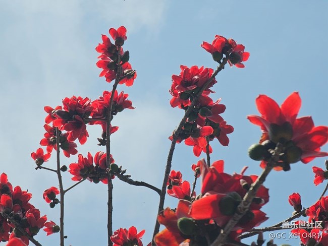 【徒步所见】徒步景色