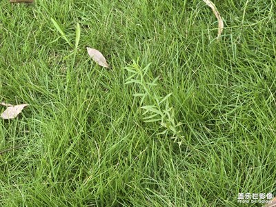 【简拍】公园里