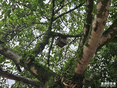 【简拍】自然模样