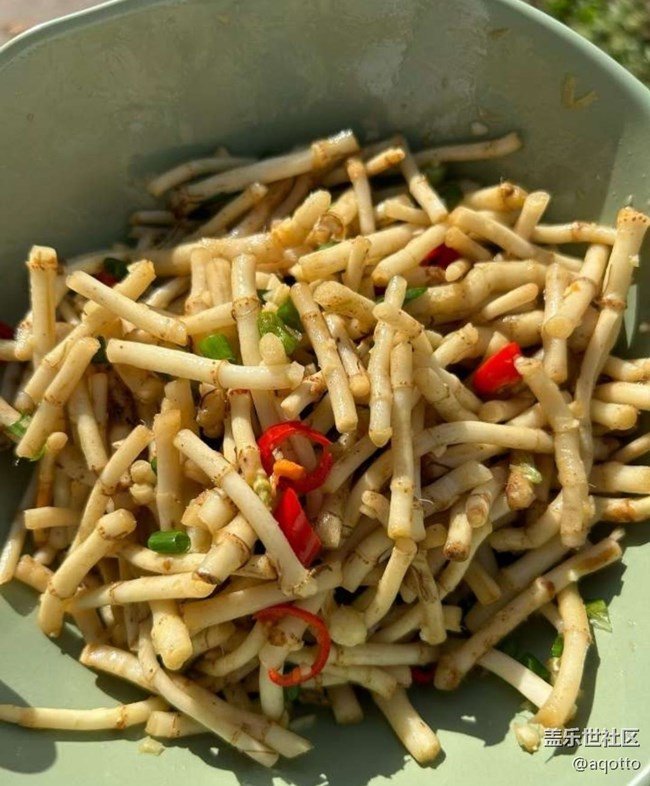 【寻味三月天】鱼腥草