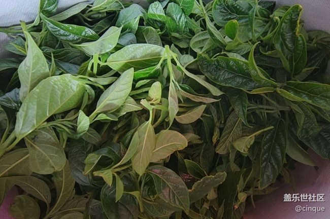 【一人行漫游录】春天的快乐