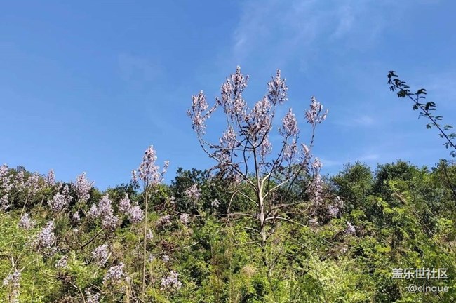 【一人行漫游录】春天的快乐