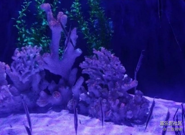 【一人行漫游录】海洋馆走走