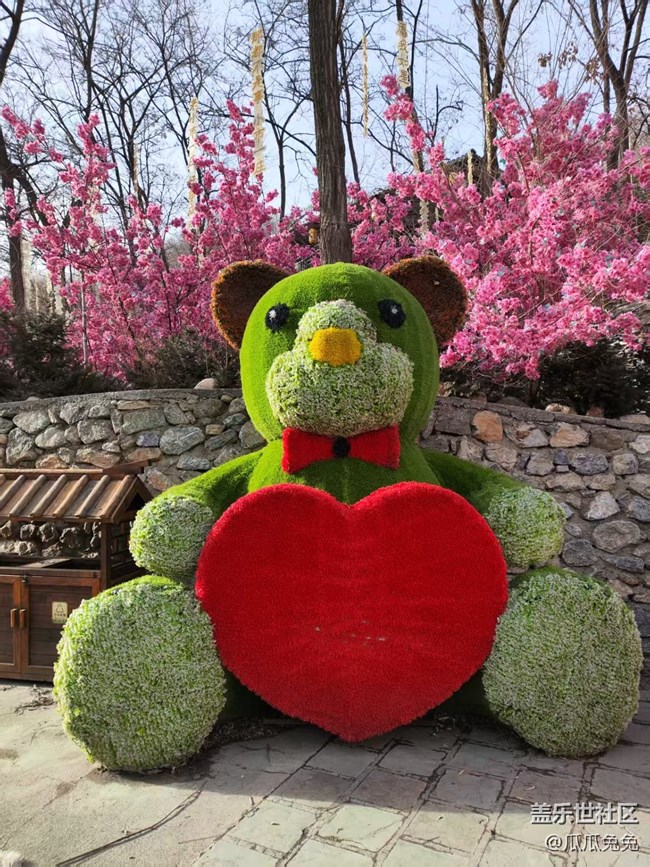 星部落活动回顾贴