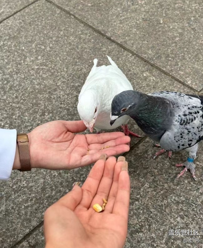 【一人行漫游录】去拜佛