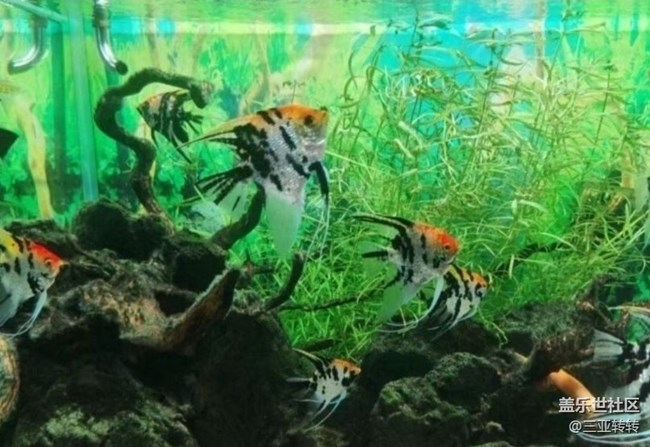 【一人行漫游录】海洋馆走走