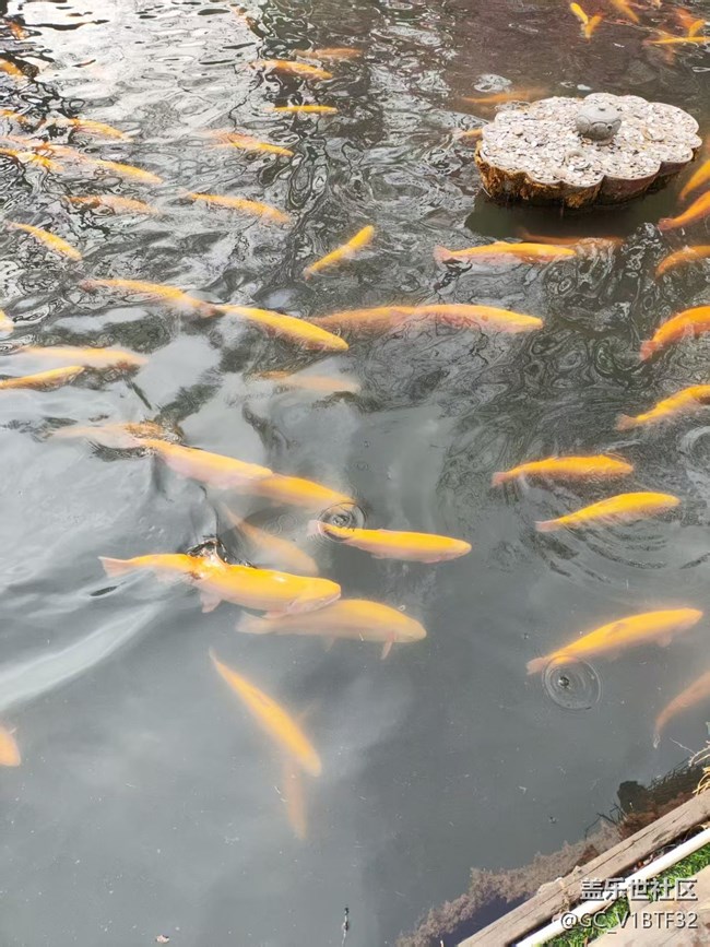 三星家人相聚本溪小市一庄