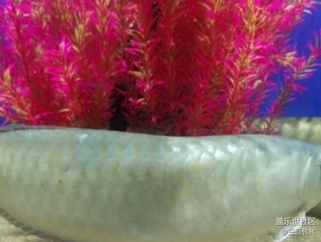 【一人行漫游录】海洋馆走走