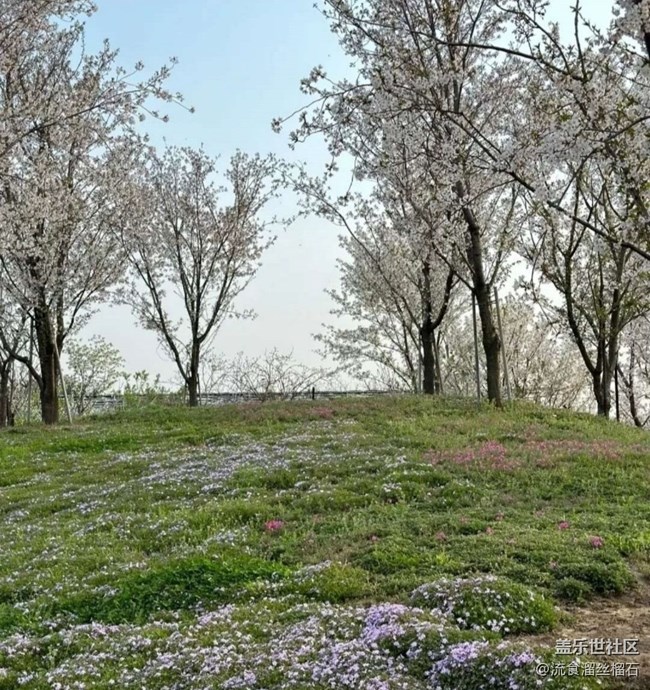 【一人行漫游录】植物园