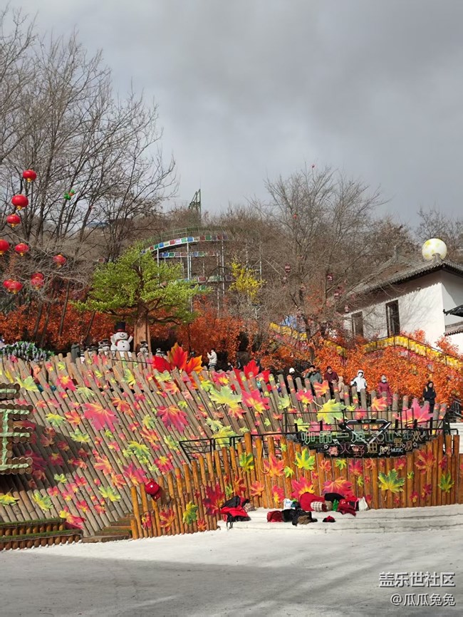 星部落活动回顾贴