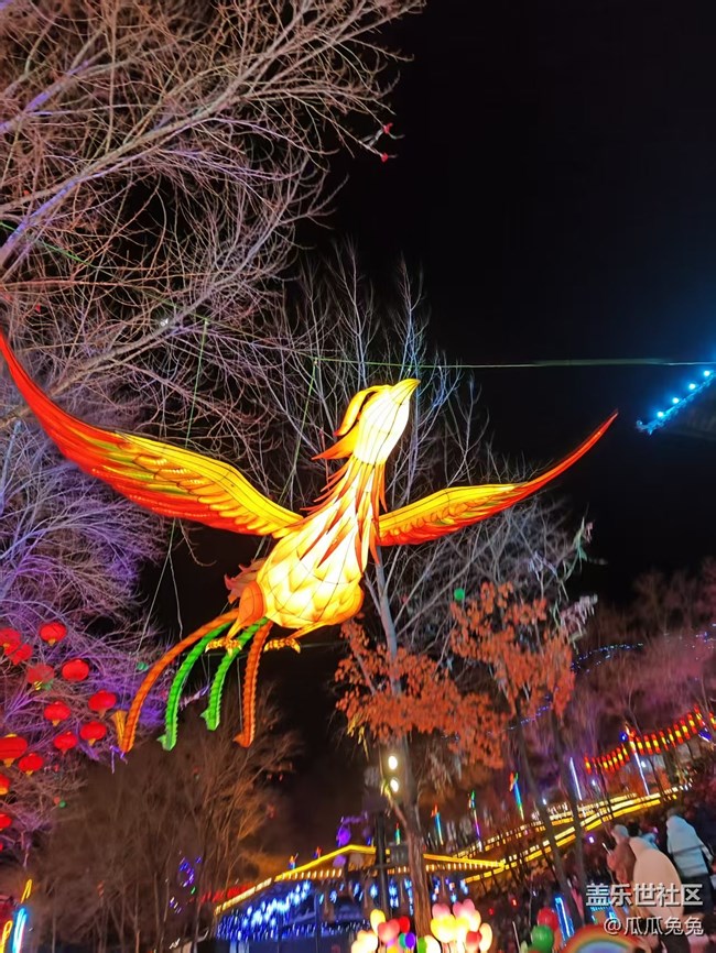 星部落活动回顾贴