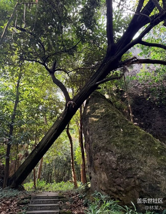 【一人行漫游录】翻山悦己