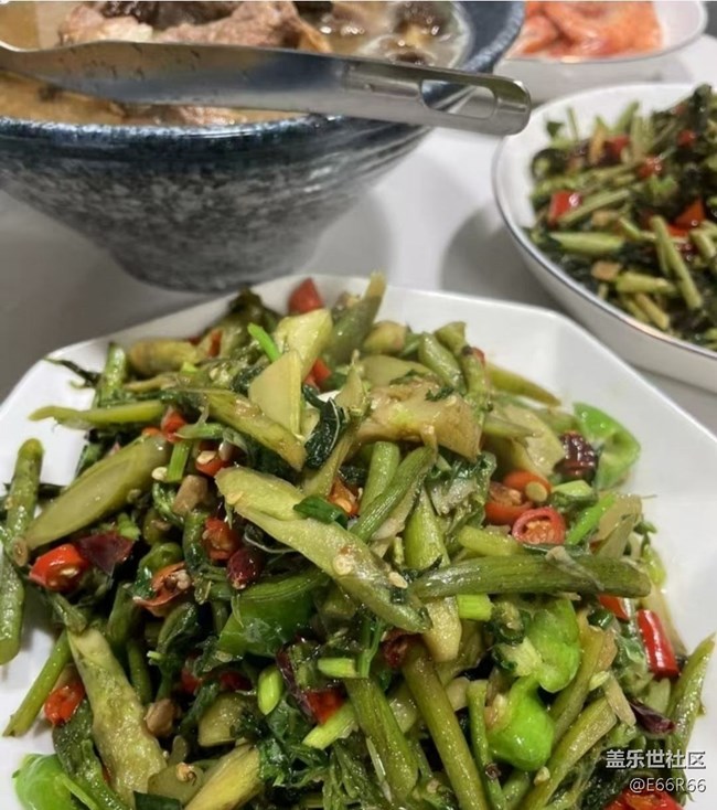 【寻味三月天】山珍野味