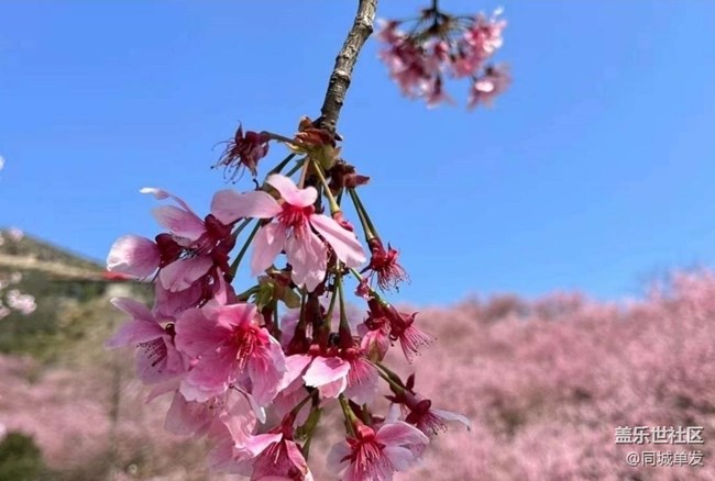 【一人行漫游录】出游