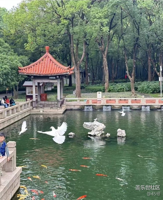 【一人行漫游录】去拜佛