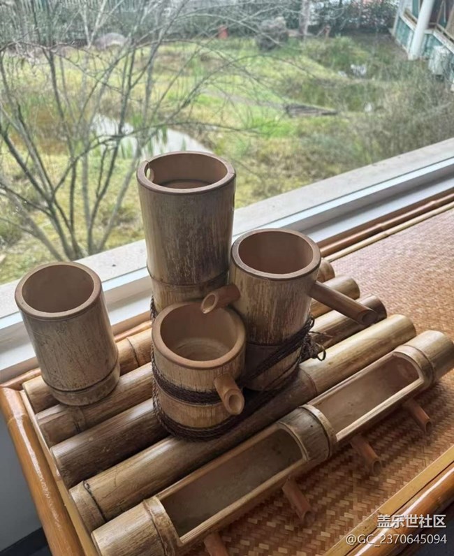 【一人行漫游录】打卡竹博园