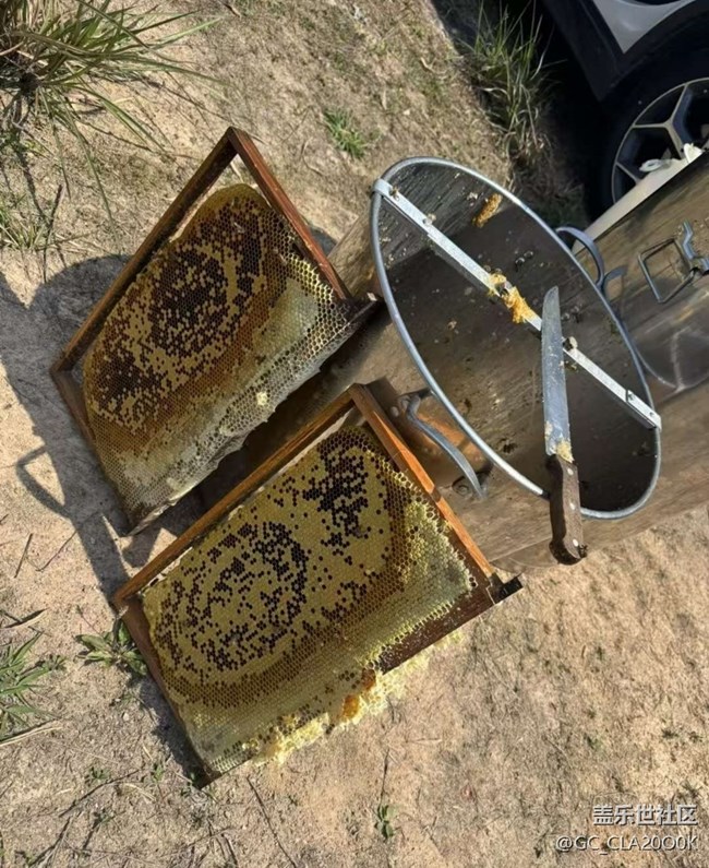 【一人行漫游录】割蜜