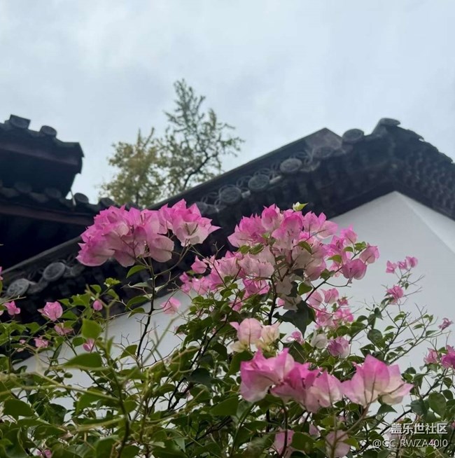 【一人行漫游录】古城