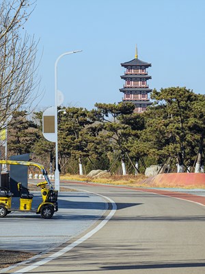 【摄影版块三月第四周】春光里