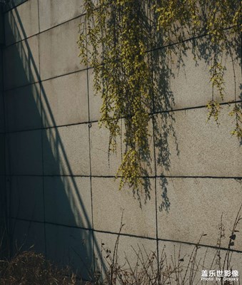 【人间三月】+色彩与时序