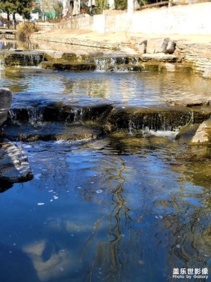 【人间三月】赴一场以绽放为名的约