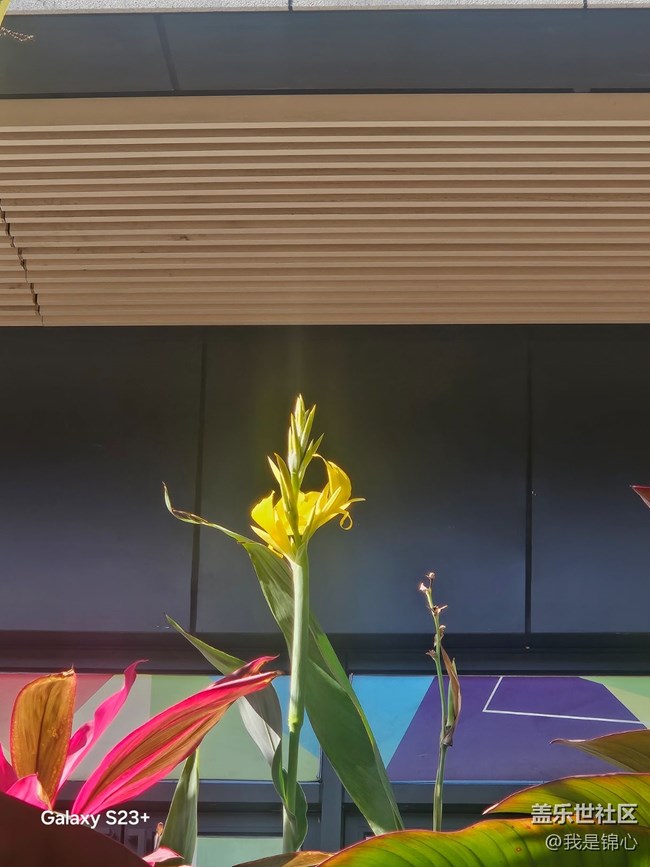 【沐浴春风】春风吹满地