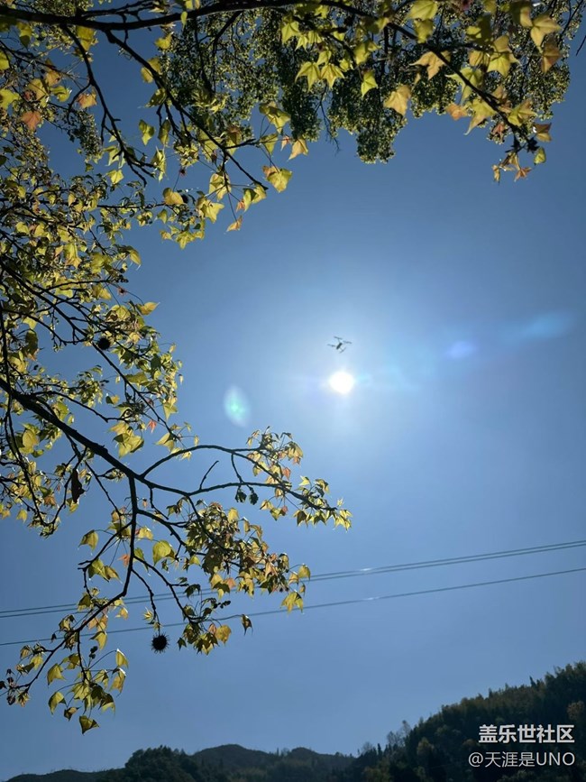 【一人行漫游录】踏青赏花