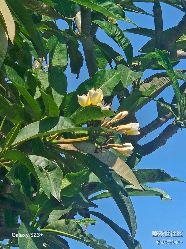 【沐浴春风】春风吹满地