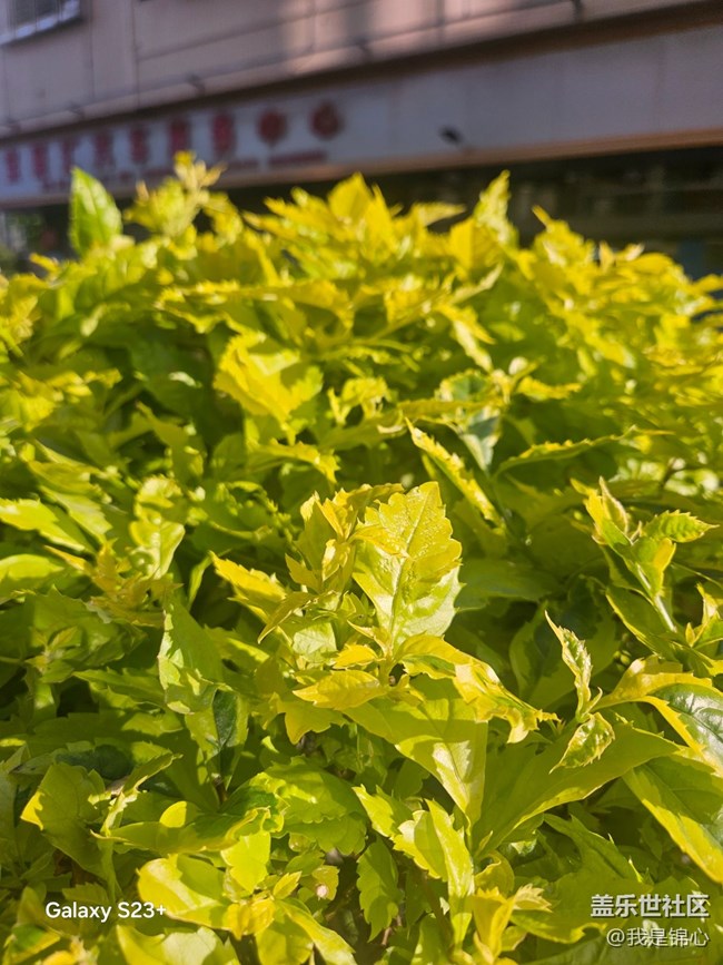 【沐浴春风】春风吹满地