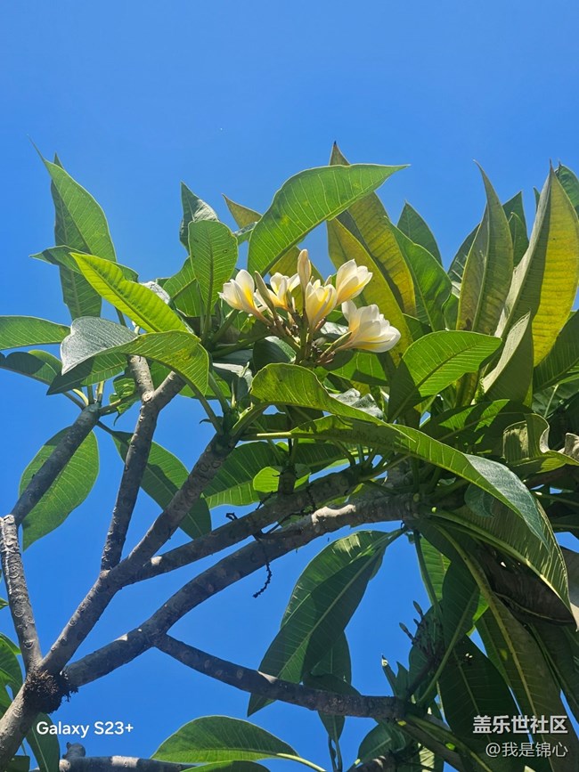 【沐浴春风】春风吹满地