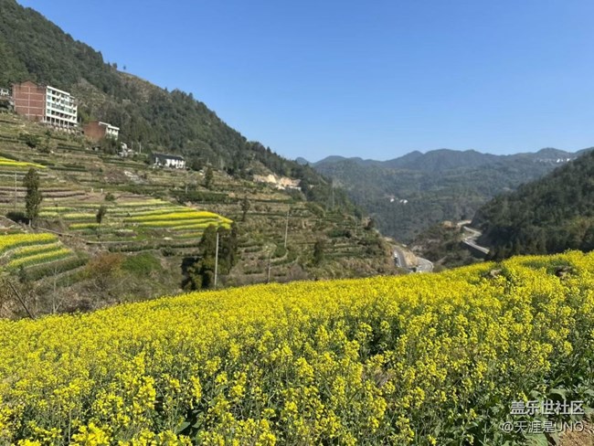 【一人行漫游录】踏青赏花