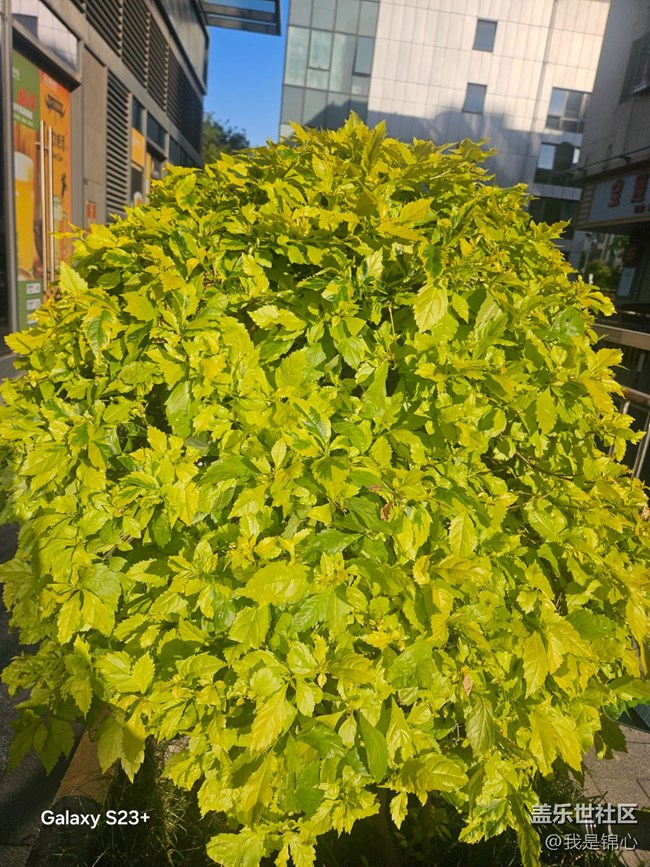 【沐浴春风】春风吹满地