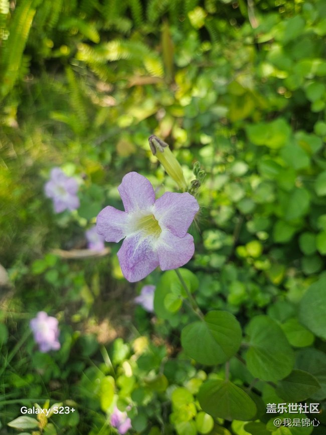 【沐浴春风】春风吹满地