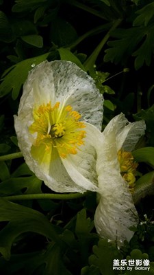 【人间三月】是阴天，又如何？