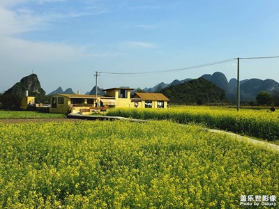 【人间三月】尽是好春光