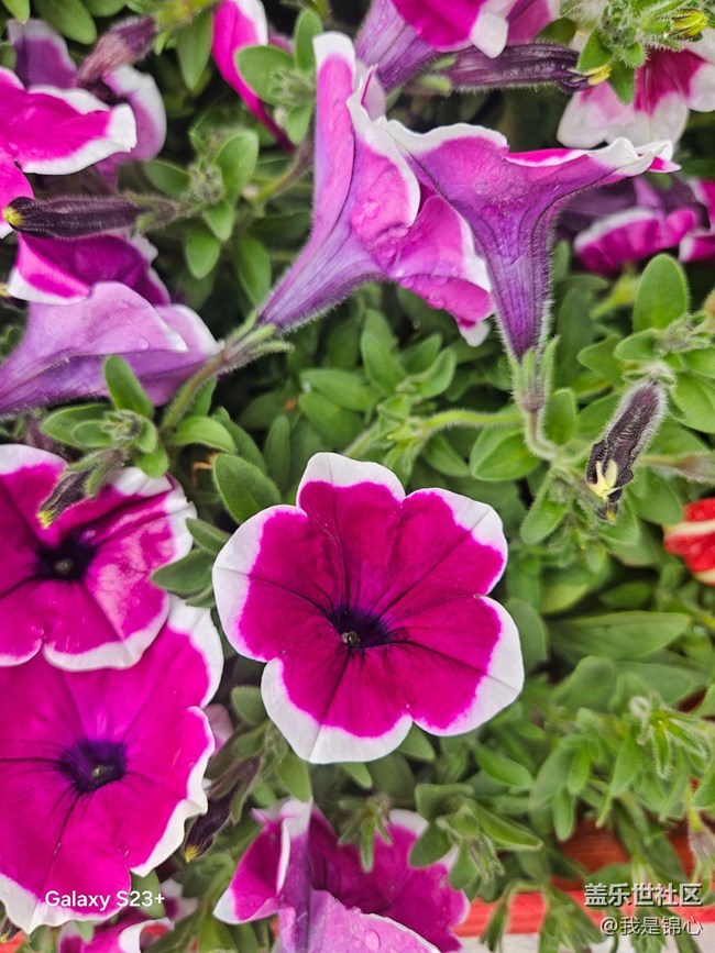 【一人行漫游录】随行漫记