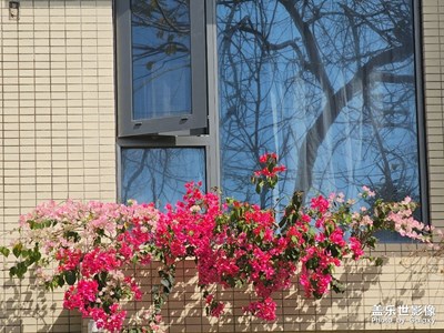 【人间三月】春光正好