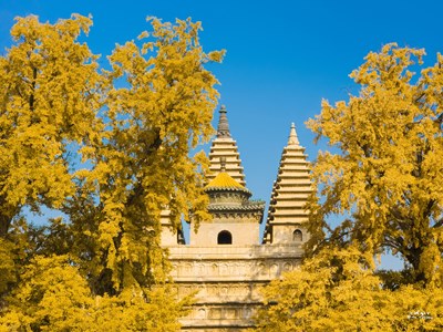 Galaxy S23 Ultra  五塔寺