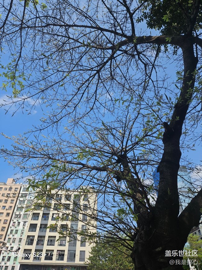 【春日限定】舒展的春天