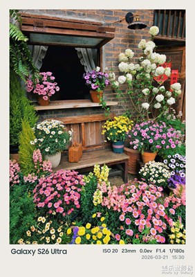 此刻即春光！三星S26 Ultra镜头里的三月莫奈花园