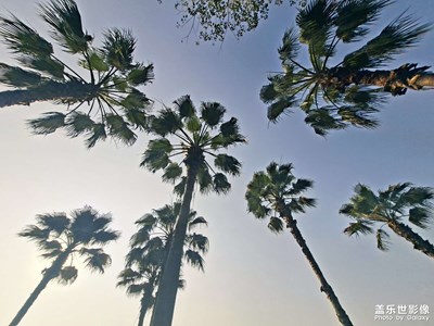 【春光里】春日海边