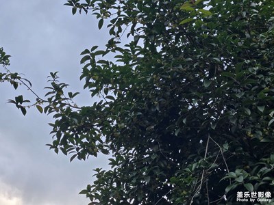 【春光里】户外