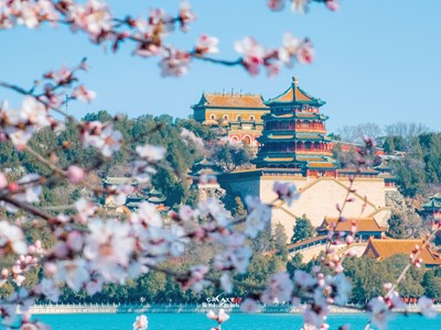 Galaxy S23 Ultra  春和景明