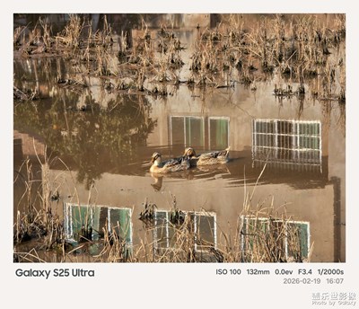 稻茬田里的鹅鸭谣，是刻在骨子里的乡愁