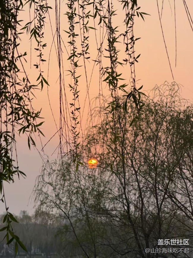 【途有春光】春游西安