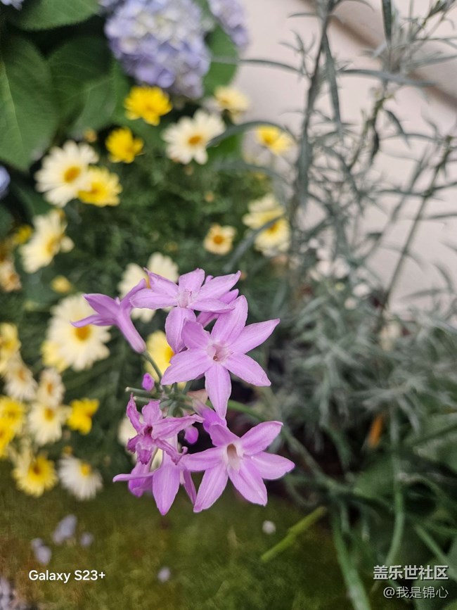 【途有春光】绝美花园