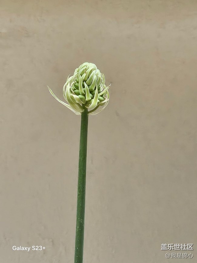 【途有春光】绝美花园