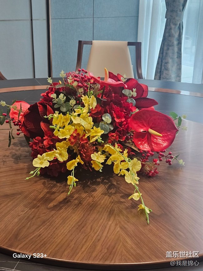 【迎春，在冬末】欢迎春来到