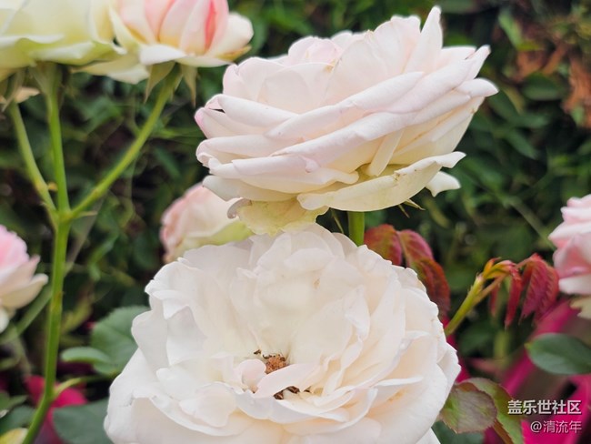 【迎春，在冬末】3月