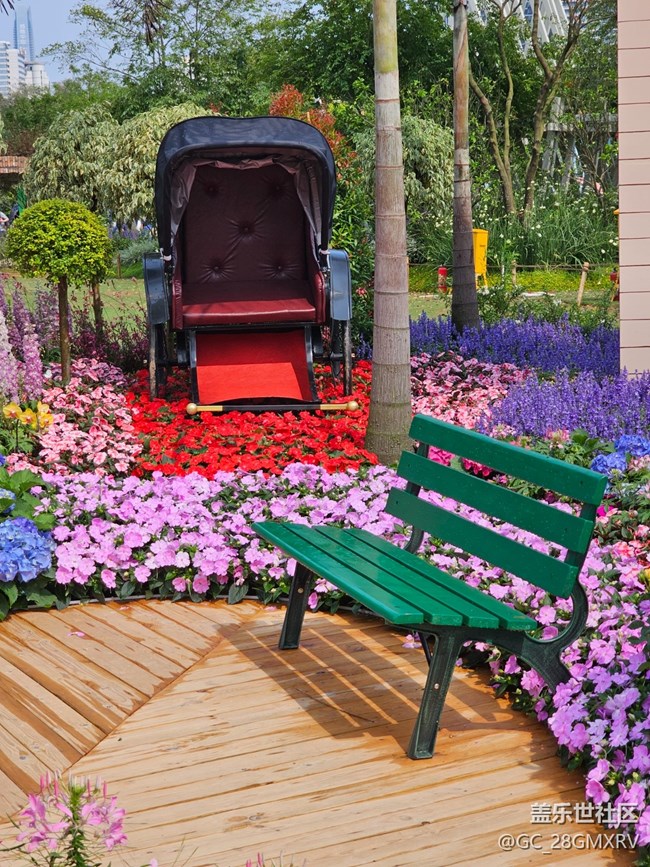 【迎春，在冬末】寻花香